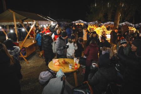 Božiček in žive jaslice (128)